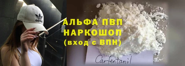эйфоретик Надым