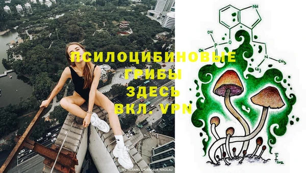 амф Нефтегорск